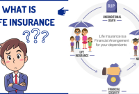 What Is Insurance? appkamods